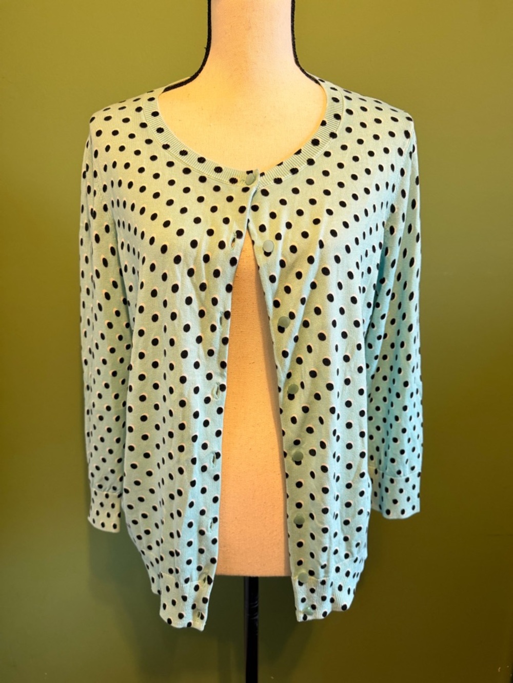 Talbots Mint Green Polka Dot Button-Front Preppy Cardigan Size Large